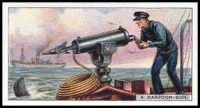 18 A Harpoon Gun
